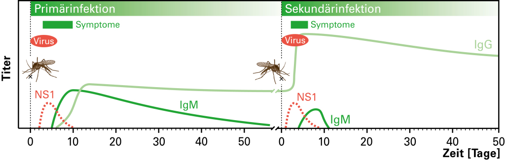 Dengue Ak Grafik