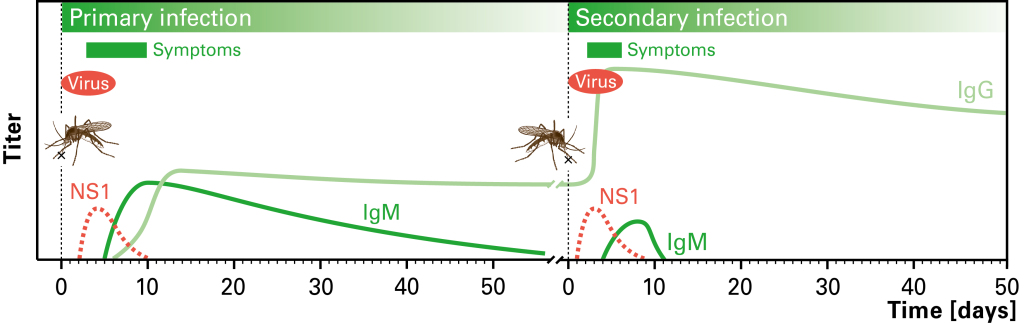 Dengue Ak Grafik UK