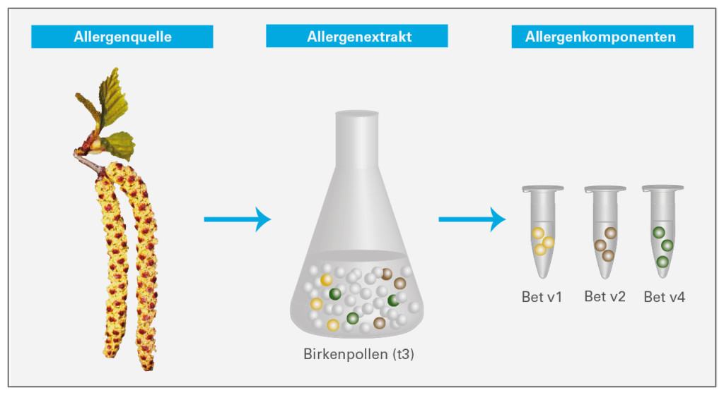 Extrakt vs Komponenten