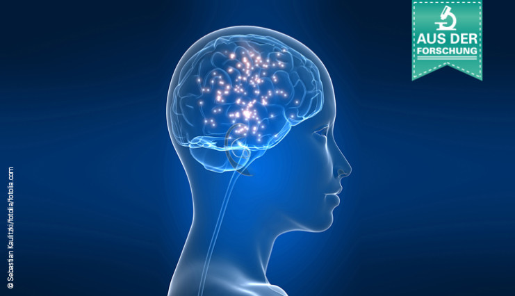 Neuer Biomarker für Neuroborreliose EUROIMMUNBlog