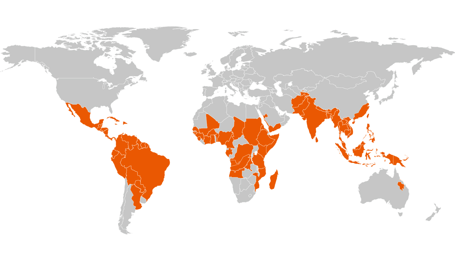 dengue map