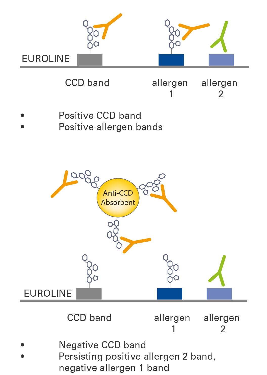 Nut Allergy Cross Reactivity Chart