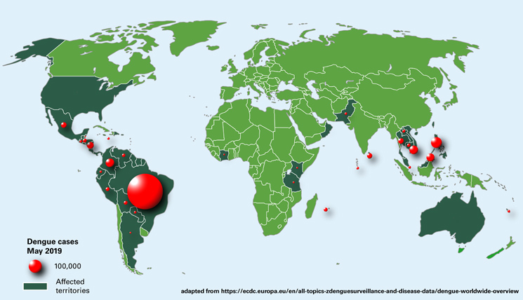 dengue map