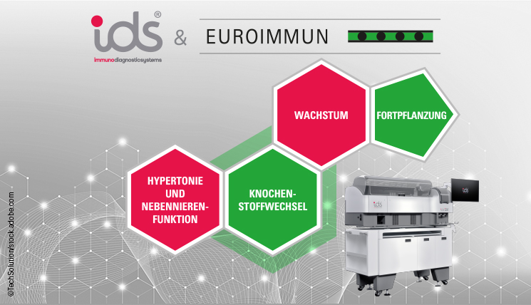 Endocrinologie-Diagnostika IDS und EUROIMMUN. Hypertonie Nebennierenfunktion Wachstum Knochenstoffwechsel Fortpflanzung