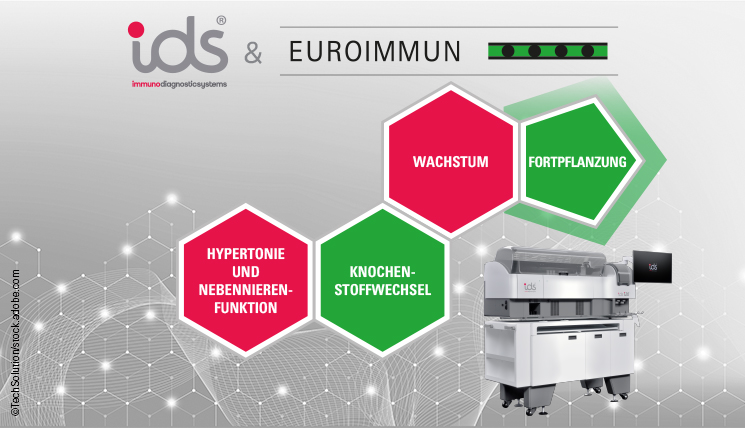 Endokrinologie-Diagnostika IDS und EUROIMMUN. Hypertonie Nebennierenfunktion Wachstumsstörungen Knochenstoffwechsel Fortpflanzung Sexualhormone