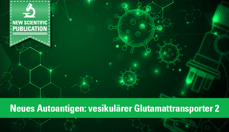 Anti-VGLUT2-Autoantikörper bei neurologischen und multisystemischen Erkrankungen identifiziert